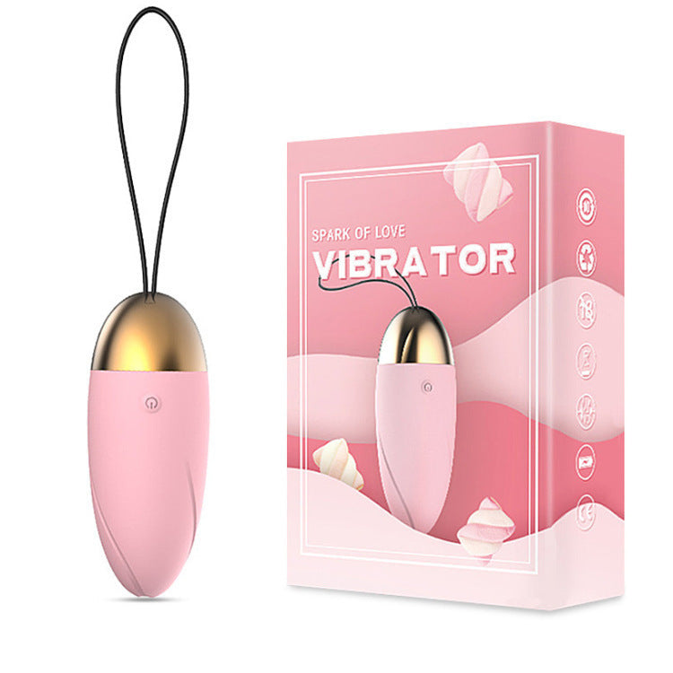 Wireless 10 Frequency Vibration Leisure Toys